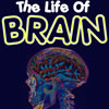 Life of Brain